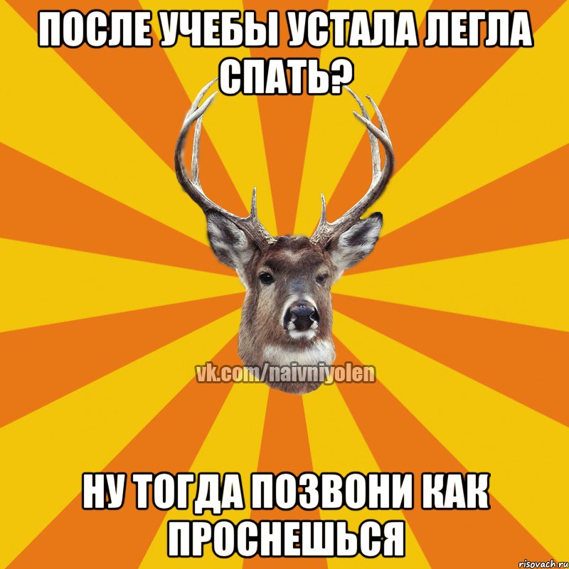 После учебы устала легла спать? Ну тогда позвони как проснешься, Мем Наивный Олень вк