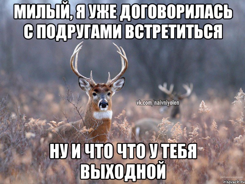 Ну встреть