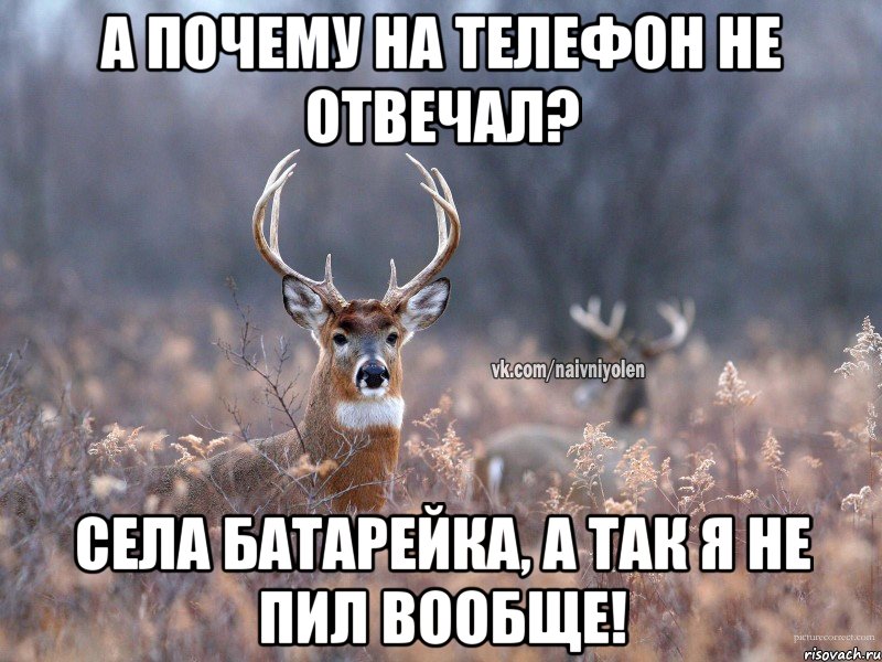 а почему на телефон не отвечал? села батарейка, а так я не пил вообще!, Мем   Наивный олень