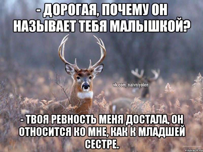 - ДОРОГАЯ, ПОЧЕМУ ОН НАЗЫВАЕТ ТЕБЯ МАЛЫШКОЙ? - ТВОЯ РЕВНОСТЬ МЕНЯ ДОСТАЛА, ОН ОТНОСИТСЯ КО МНЕ, КАК К МЛАДШЕЙ СЕСТРЕ., Мем   Наивный олень