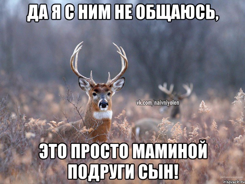 Да я с ним не общаюсь, Это просто маминой подруги сын!, Мем   Наивный олень