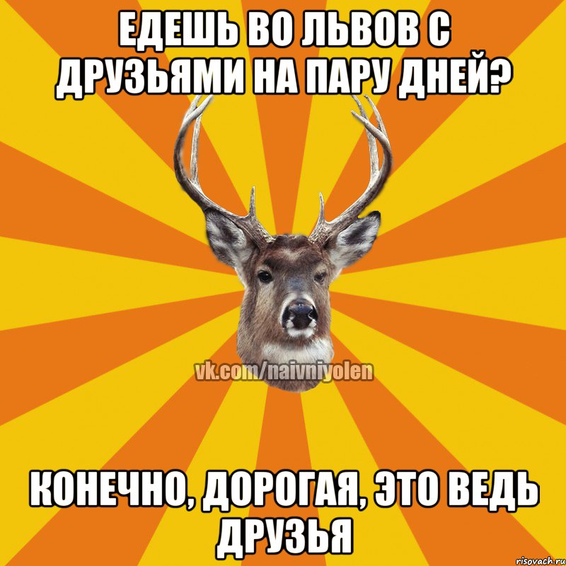 Едешь во Львов с друзьями на пару дней? Конечно, дорогая, это ведь друзья, Мем Наивный Олень вк