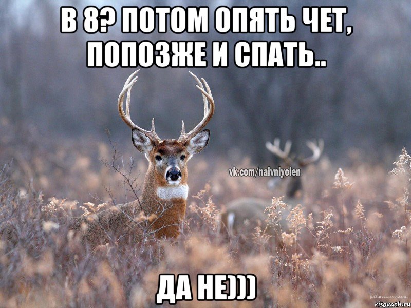 В 8? Потом опять чет, попозже и спать.. Да не))), Мем   Наивный олень