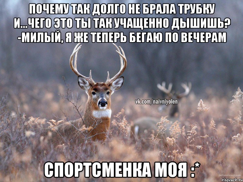 почему так долго не брала трубку и...чего это ты так учащенно дышишь? -милый, я же теперь бегаю по вечерам спортсменка моя :*, Мем   Наивный олень