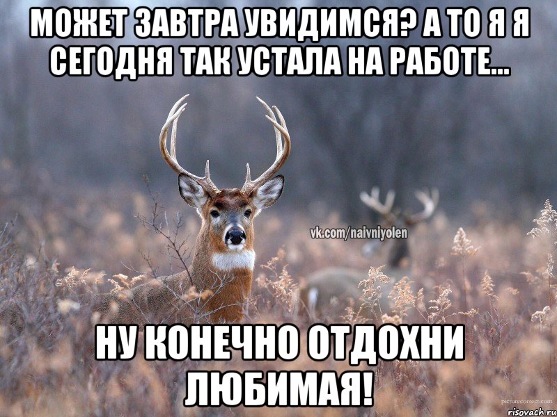 Может завтра увидимся? А то я я сегодня так устала на работе... Ну конечно отдохни любимая!, Мем   Наивный олень