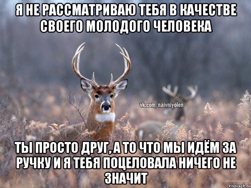 я не рассматриваю тебя в качестве своего молодого человека ты просто друг, а то что мы идём за ручку и я тебя поцеловала ничего не значит, Мем   Наивный олень