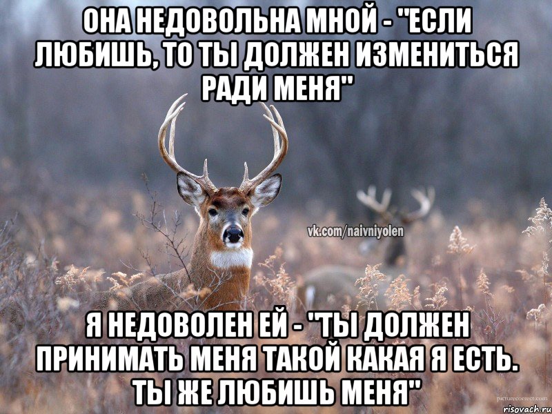 она недовольна мной - "если любишь, то ты должен измениться ради меня" я недоволен ей - "ты должен принимать меня такой какая я есть. ты же любишь меня", Мем   Наивный олень