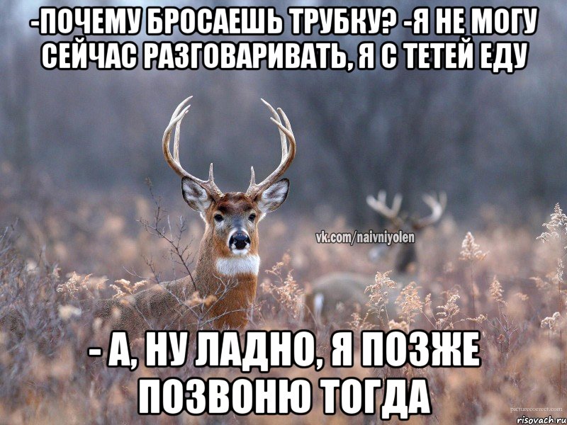 -почему бросаешь трубку? -я не могу сейчас разговаривать, я с тетей еду - а, ну ладно, я позже позвоню тогда, Мем   Наивный олень