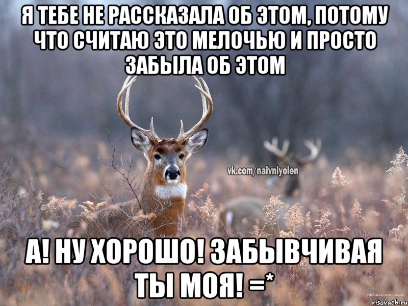 Я тебе не рассказала об этом, потому что считаю это мелочью и просто забыла об этом А! Ну хорошо! Забывчивая ты моя! =*, Мем   Наивный олень