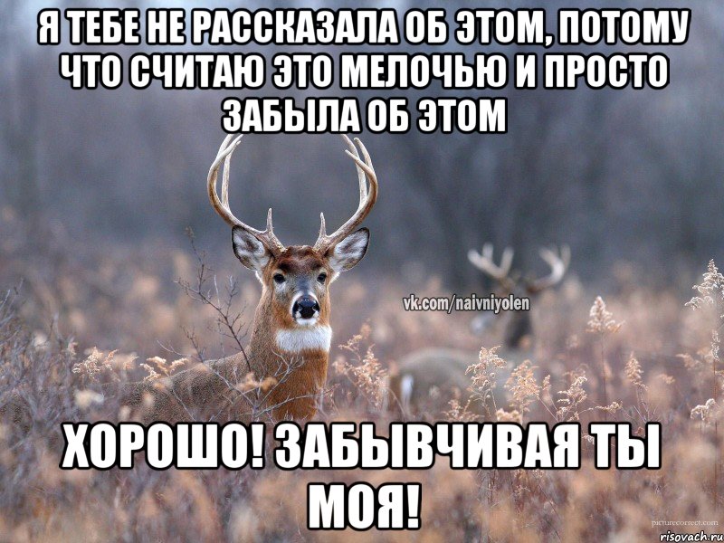 Я тебе не рассказала об этом, потому что считаю это мелочью и просто забыла об этом Хорошо! Забывчивая ты моя!, Мем   Наивный олень