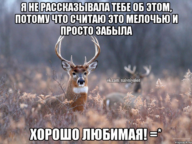 Я не рассказывала тебе об этом, потому что считаю это мелочью и просто забыла Хорошо любимая! =*, Мем   Наивный олень