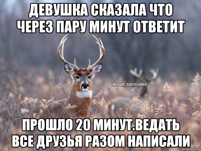 Девушка сказала что через пару минут ответит прошло 20 минут.Ведать Все друзья разом написали, Мем   Наивный олень