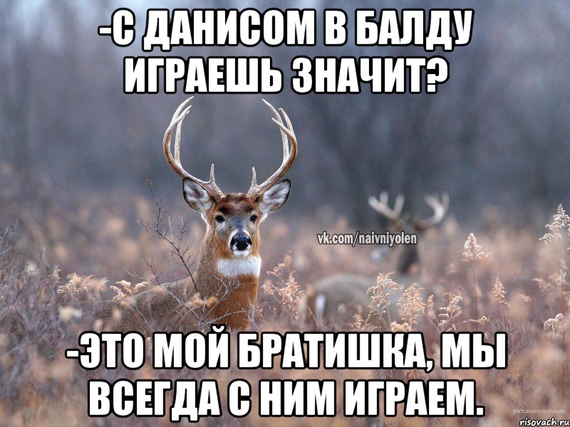 -С Данисом в балду играешь значит? -Это мой братишка, мы всегда с ним играем., Мем   Наивный олень