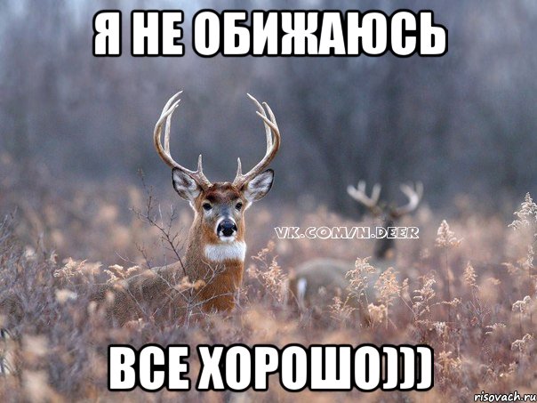 Я не обижаюсь все хорошо))), Мем   Наивный олень