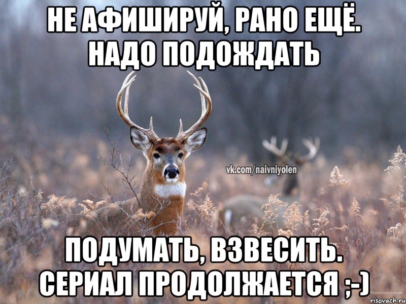 Не афишируй, рано ещё. Надо подождать Подумать, взвесить. Сериал продолжается ;-), Мем   Наивный олень