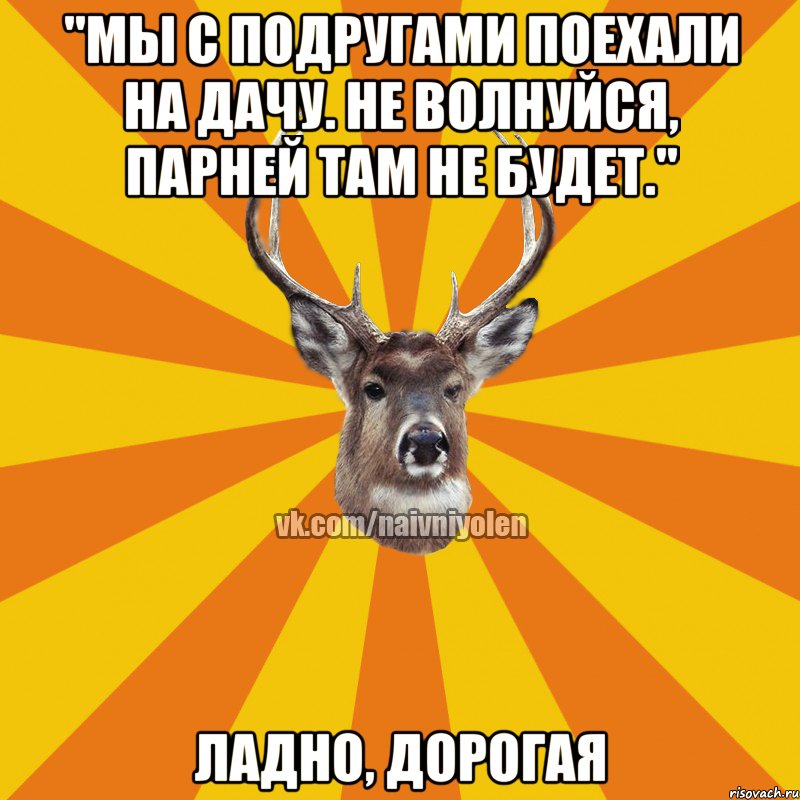 "Мы с подругами поехали на дачу. Не волнуйся, парней там не будет." Ладно, дорогая, Мем Наивный Олень вк