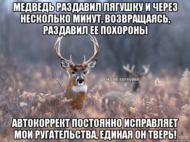 Медведь раздавил лягушку и через несколько минут, возвращаясь, раздавил ее похороны Автокоррект постоянно исправляет мои ругательства, единая он тверь!, Мем   Наивный олень