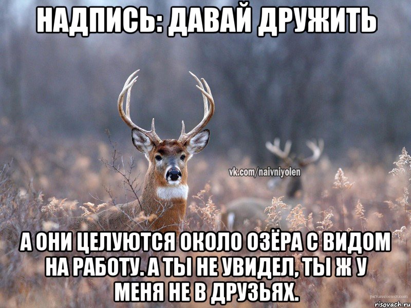 Надпись: давай дружить А они целуются около озёра с видом на работу. А ты не увидел, ты ж у меня не в друзьях., Мем   Наивный олень