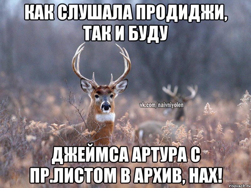 Как слушала продиджи, так и буду Джеймса Артура с пр.листом в архив, нах!, Мем   Наивный олень