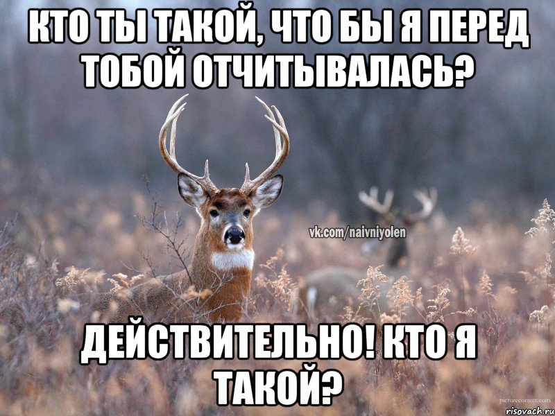 Кто ты такой, что бы я перед тобой отчитывалась? Действительно! Кто я такой?, Мем   Наивный олень