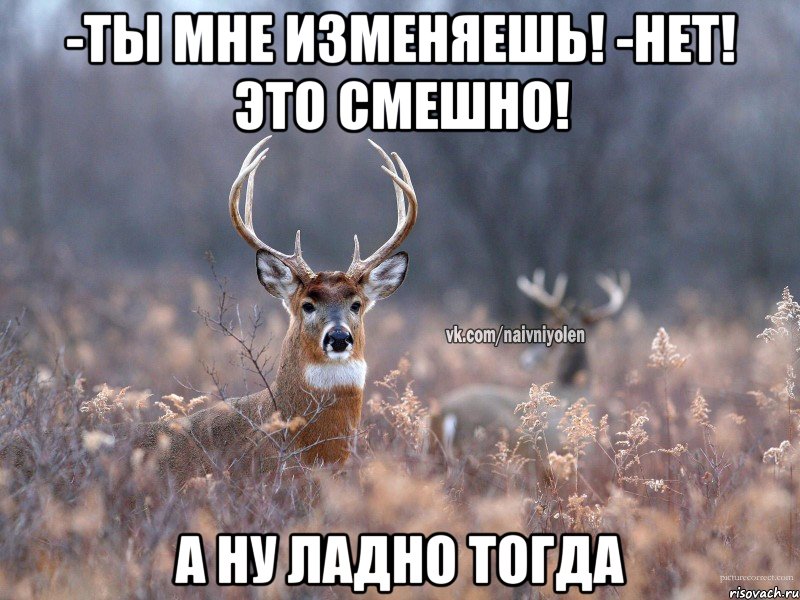 -ты мне изменяешь! -нет! Это смешно! а ну ладно тогда, Мем   Наивный олень