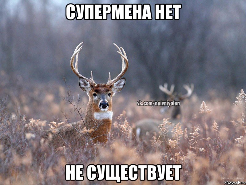 Супермена нет Не существует, Мем   Наивный олень