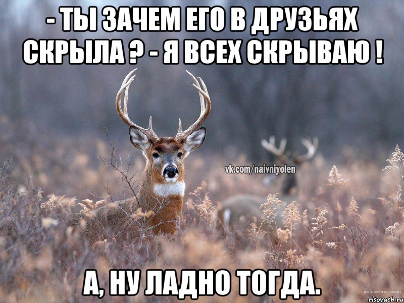 - ты зачем его в друзьях скрыла ? - я всех скрываю ! а, ну ладно тогда., Мем   Наивный олень