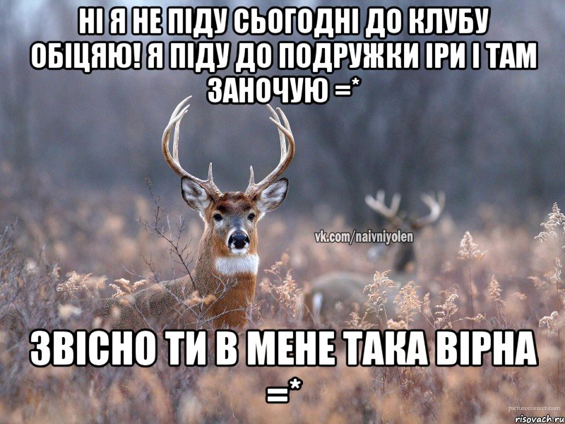 Ні я не піду сьогодні до клубу обіцяю! я піду до подружки Іри і там заночую =* Звісно ти в мене така вірна =*, Мем   Наивный олень