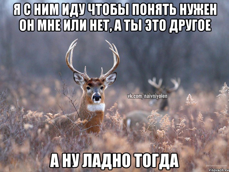 Я с ним иду чтобы понять нужен он мне или нет, а ты это другое А ну ладно тогда, Мем   Наивный олень