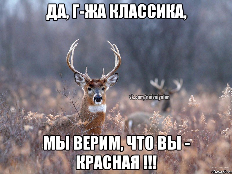 Да, г-жа Классика, мы верим, что Вы - красная !!!, Мем   Наивный олень