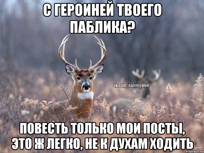 С героиней твоего паблика? Повесть только мои посты, это ж легко, не к духам ходить, Мем   Наивный олень