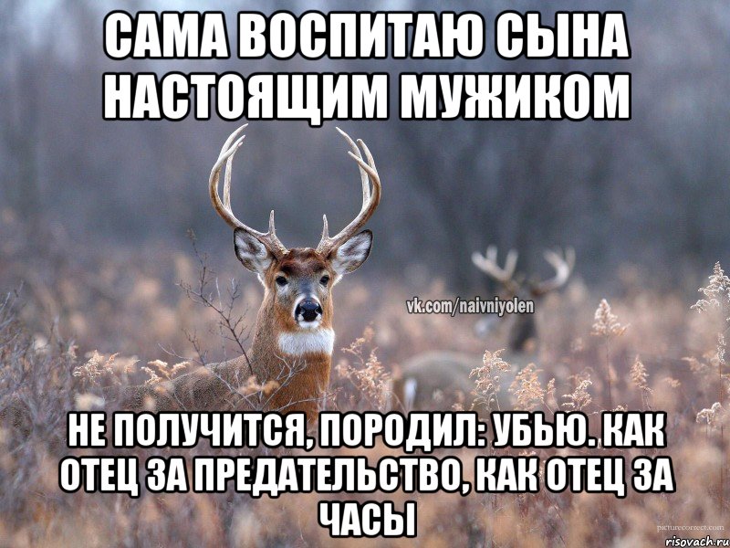 Сама воспитаю сына настоящим мужиком Не получится, породил: убью. Как отец за предательство, как отец за часы, Мем   Наивный олень