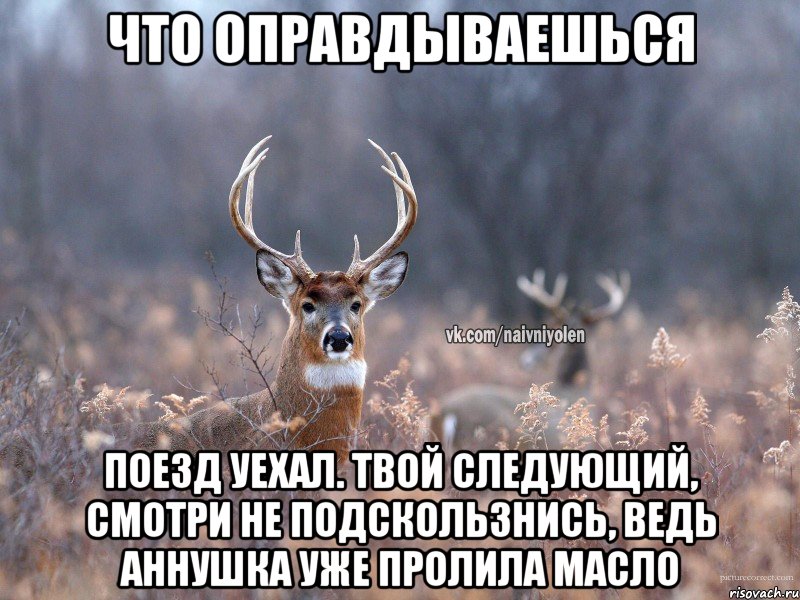 Что оправдываешься Поезд уехал. Твой следующий, смотри не подскользнись, ведь Аннушка уже пролила масло, Мем   Наивный олень