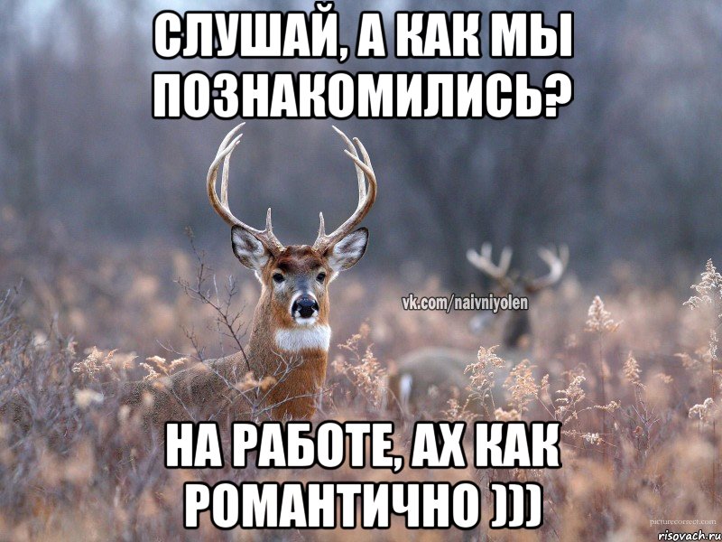 Слушай, а как мы познакомились? на работе, ах как романтично ))), Мем   Наивный олень