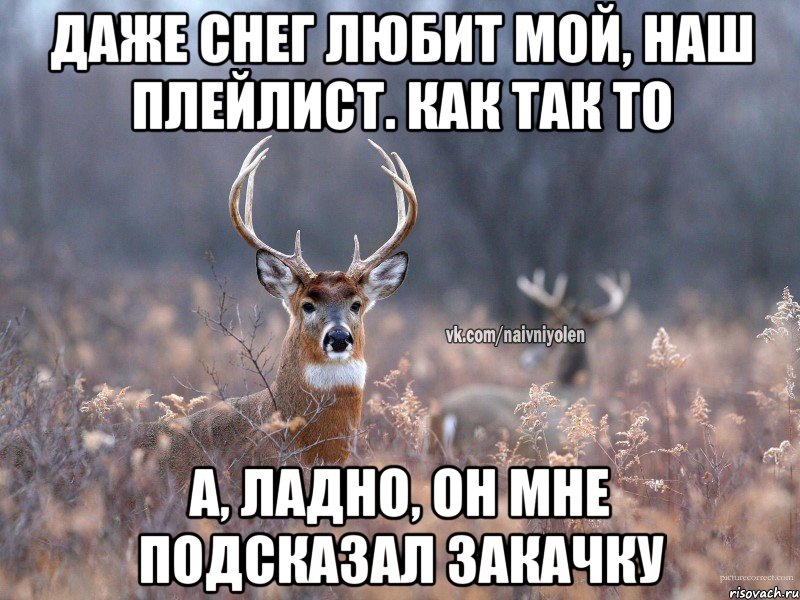 Даже снег любит мой, наш плейлист. Как так то А, ладно, он мне подсказал закачку, Мем   Наивный олень