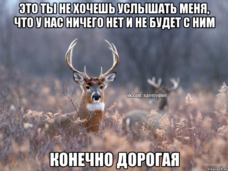 Это ты не хочешь услышать меня, что у нас ничего нет и не будет с ним конечно дорогая, Мем   Наивный олень