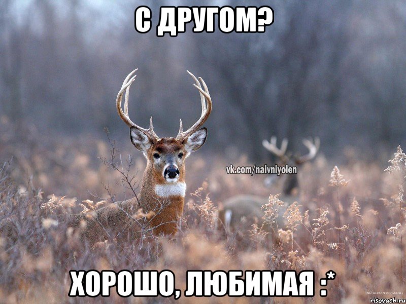 С другом? Хорошо, любимая :*, Мем   Наивный олень