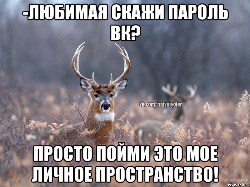 -Любимая скажи пароль ВК? Просто пойми это мое личное пространство!, Мем   Наивный олень