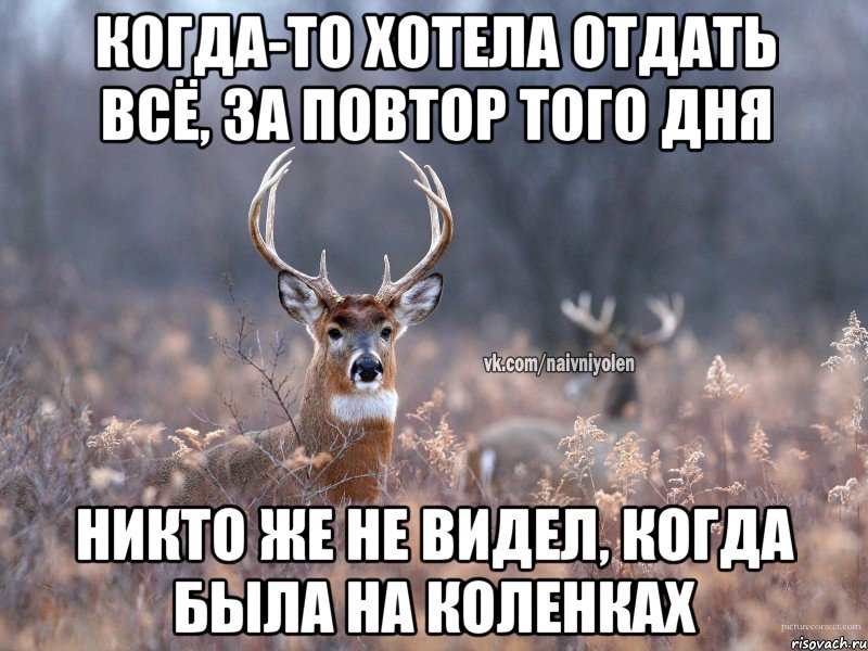 Когда-то хотела отдать всё, за повтор того дня Никто же не видел, когда была на коленках, Мем   Наивный олень