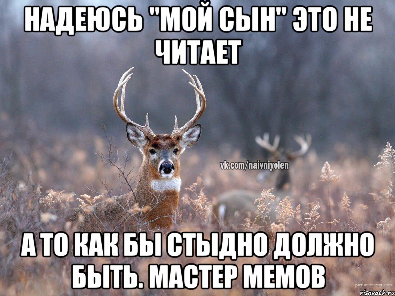 Надеюсь "мой сын" это не читает А то как бы стыдно должно быть. Мастер мемов, Мем   Наивный олень