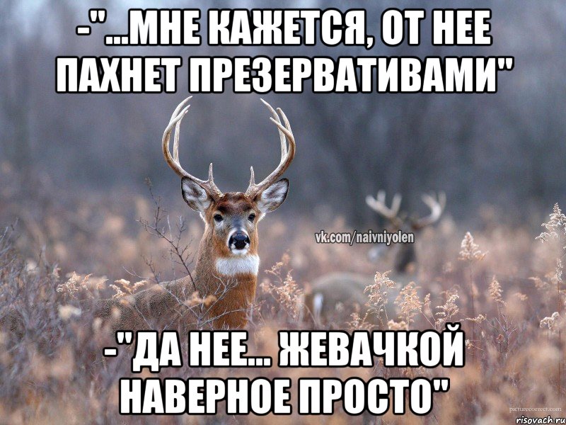 -"...Мне кажется, от нее пахнет презервативами" -"Да нее... Жевачкой наверное просто", Мем   Наивный олень