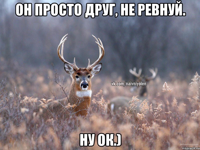 Он просто друг, не ревнуй. Ну ок.), Мем   Наивный олень