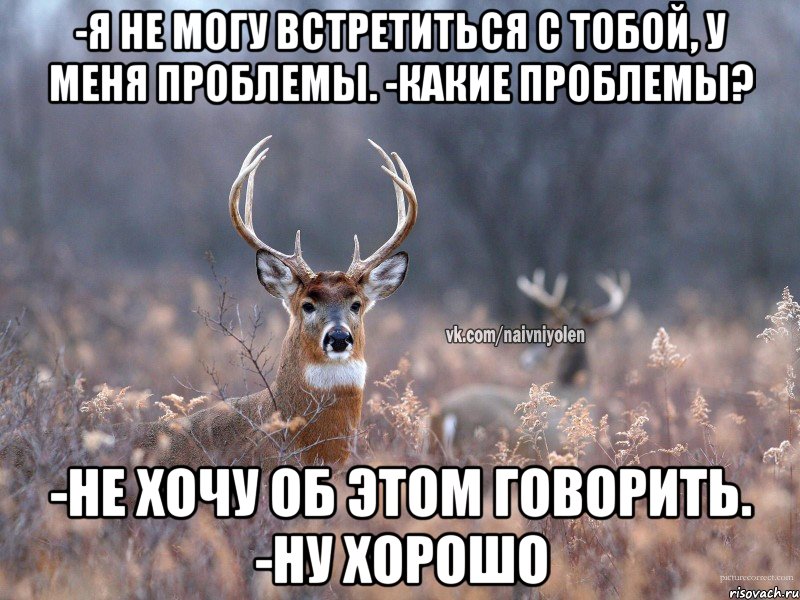 -я не могу встретиться с тобой, у меня проблемы. -какие проблемы? -не хочу об этом говорить. -ну хорошо, Мем   Наивный олень