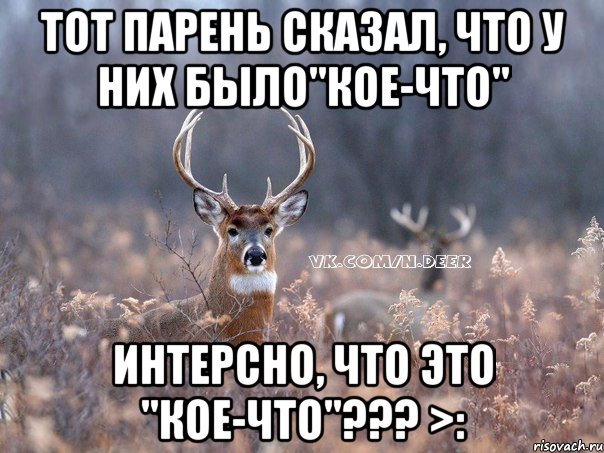 Тот парень сказал, что у них было"кое-что" Интерсно, что это "кое-что"??? >:, Мем   Наивный олень