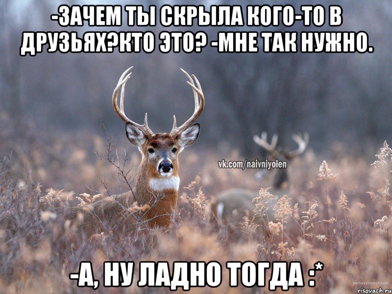 -Зачем ты скрыла кого-то в друзьях?Кто это? -Мне так нужно. -А, ну ладно тогда :*, Мем   Наивный олень