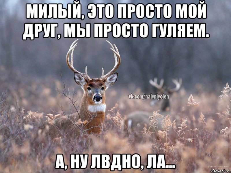 Милый, это просто мой друг, мы просто гуляем. А, ну лвдно, ла..., Мем   Наивный олень