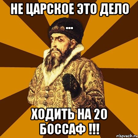 Не царское это дело ... Ходить на 20 боссаф !!!, Мем Не царское это дело