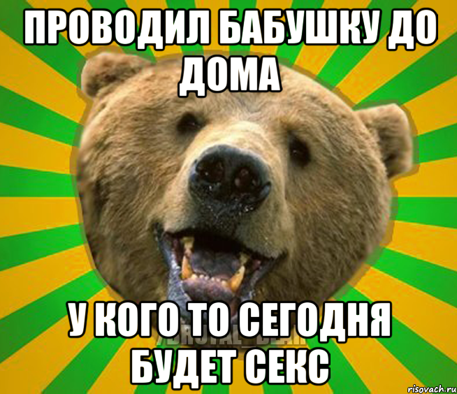 ПРОВОДИЛ БАБУШКУ ДО ДОМА У КОГО ТО СЕГОДНЯ БУДЕТ СЕКС, Мем Нелепый медведь