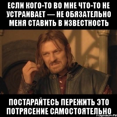 Если кого-то во мне что-то не устраивает — не обязательно меня ставить в известность постарайтесь пережить это потрясение самостоятельно, Мем Нельзя просто взять