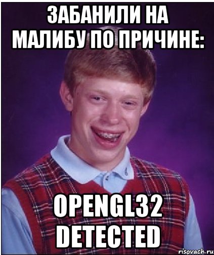 Забанили на малибу по причине: Opengl32 detected, Мем Неудачник Брайан